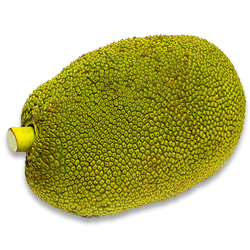 Jackfruit