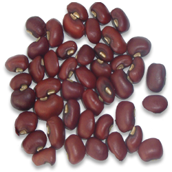 Cowpea