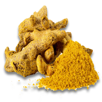 Turmeric