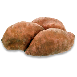 Sweet Potato