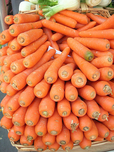 Picture Carrot