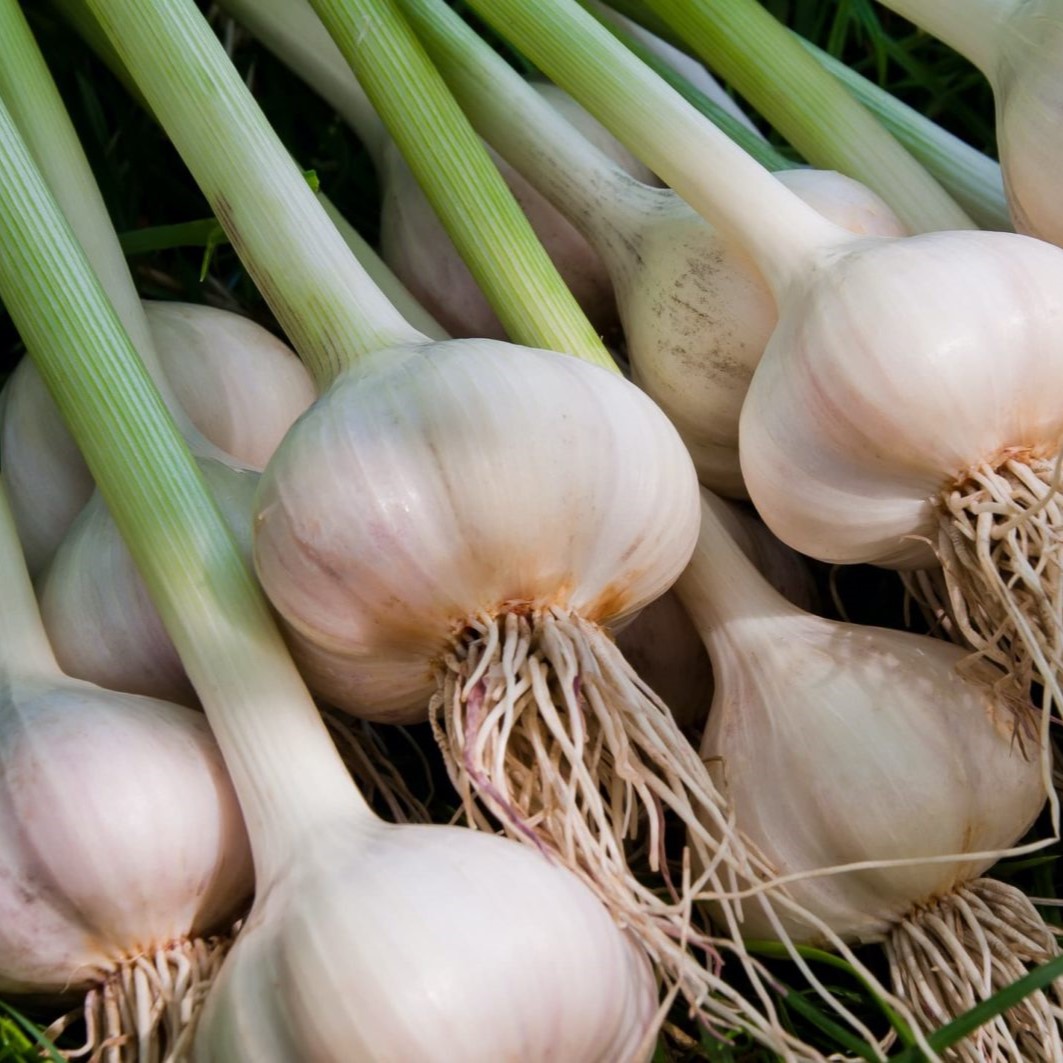 Vegetables