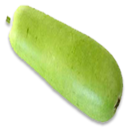 Bottle gourd