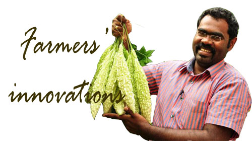 Farmer's Innovation