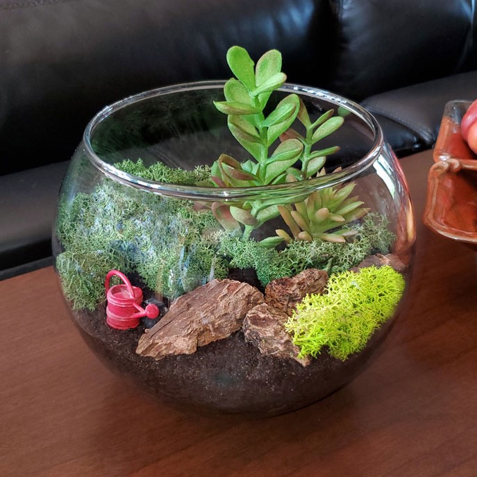 Terrarium